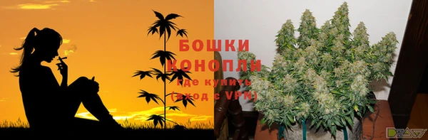 спиды Дмитров
