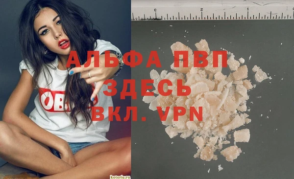 спиды Дмитров